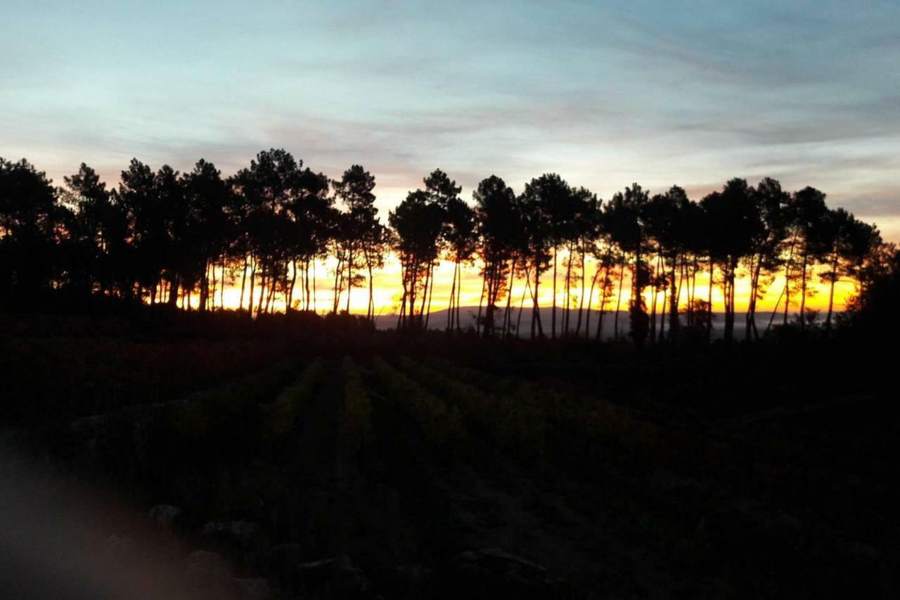 Domaine Des Hauts De Vernon Vernon  Zewnętrze zdjęcie