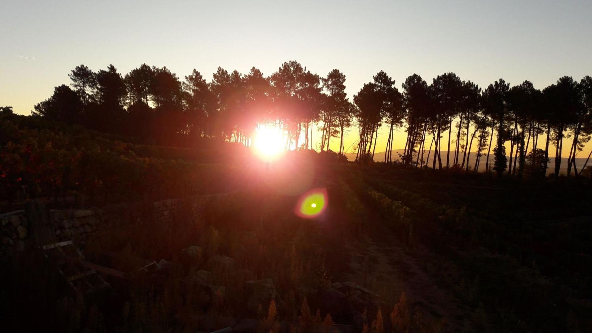 Domaine Des Hauts De Vernon Vernon  Zewnętrze zdjęcie